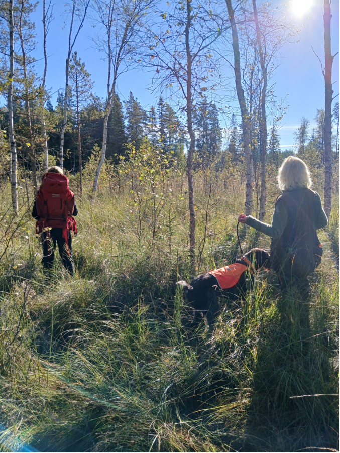 Skogsprov 14 september