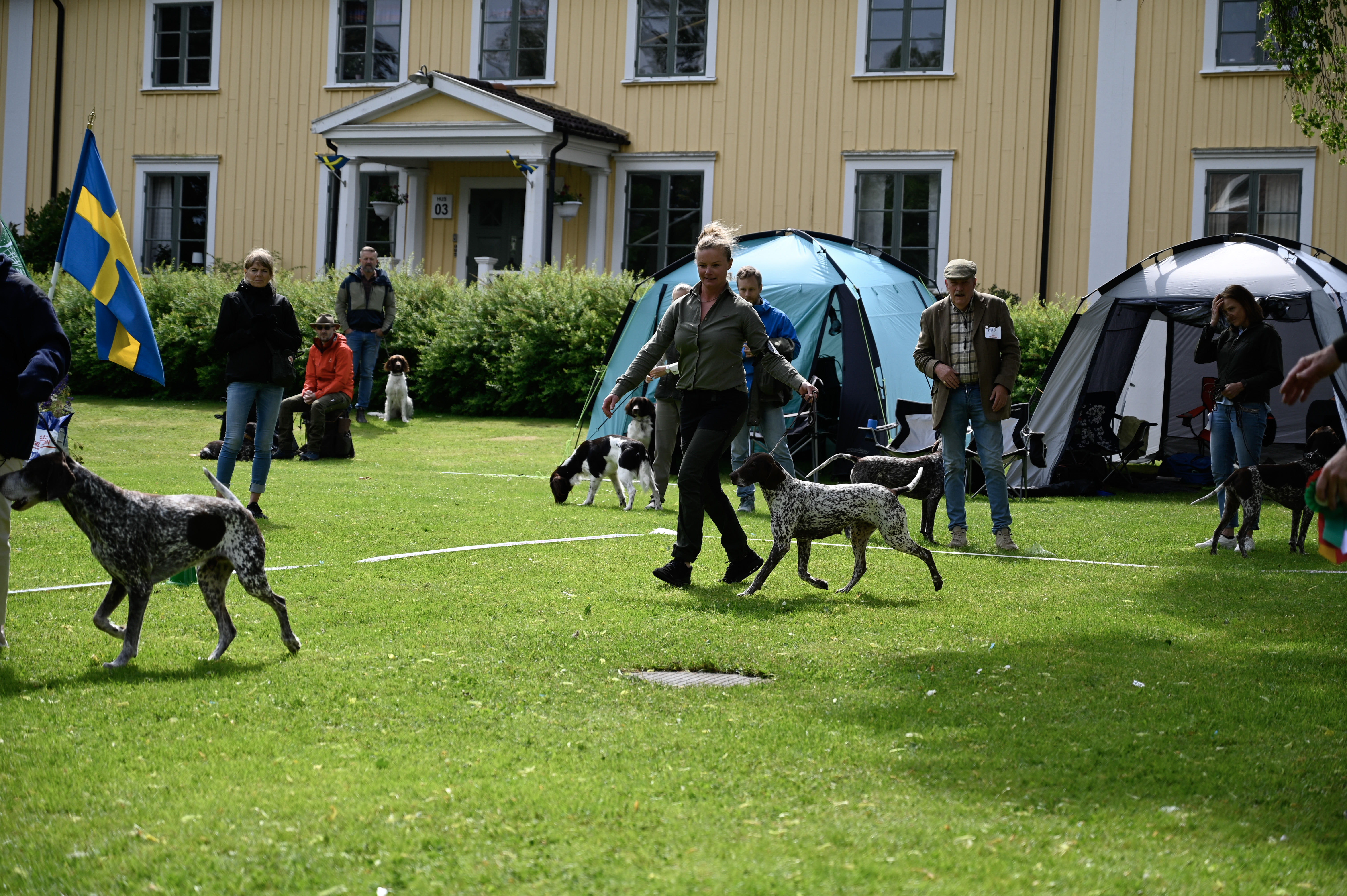 PM UTSTÄLLNING 2025 