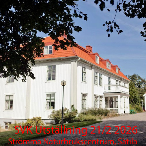 SVK Utställning 21/2 2026