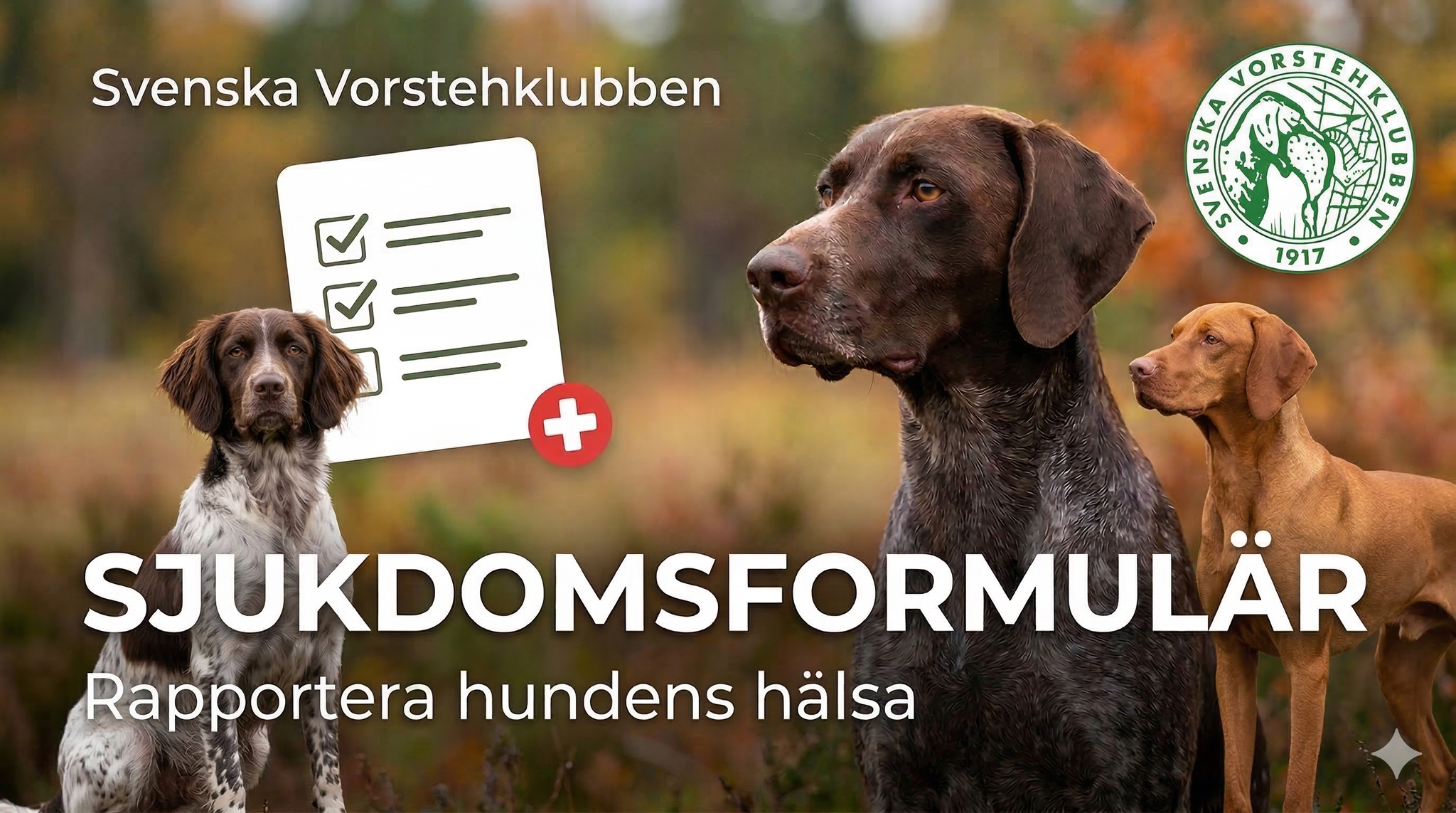 Instruktion till anmälan av sjukdom/skada på SVK YouTube