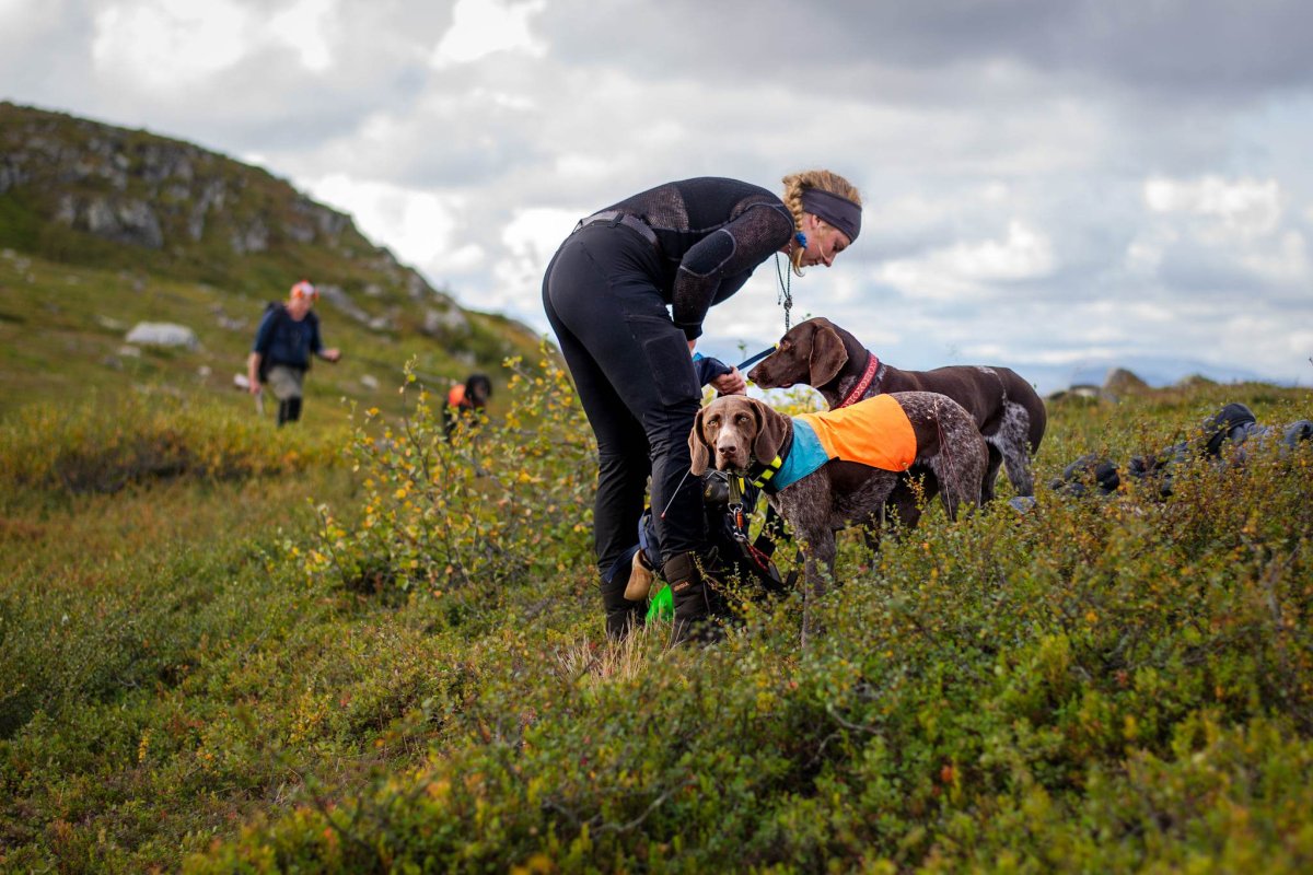 Info till dig som anmält eller ska anmäla till fjällprov 22-24 augusti.