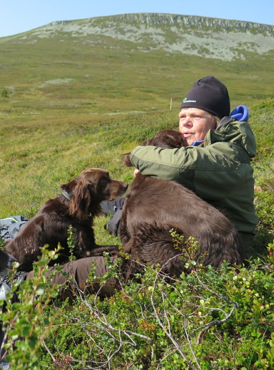 Nytt avelsråd för långhårig vorsteh