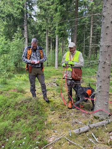 Grattis Jan Sämgård med Vijaga Tsar till ett andra Pris 